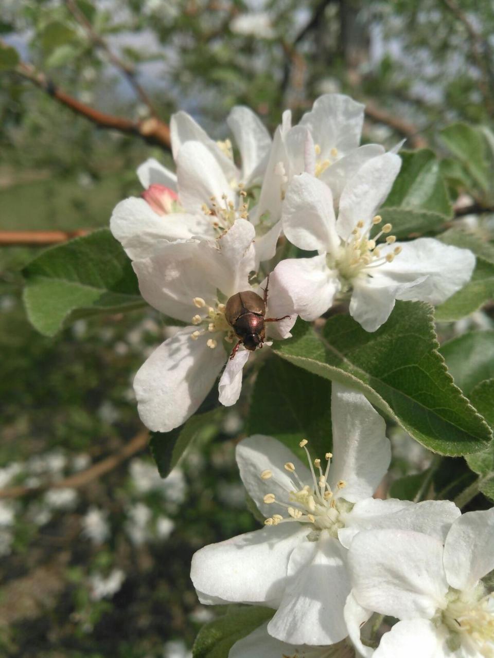 Отель Horn Azumino (Adults Only) Экстерьер фото