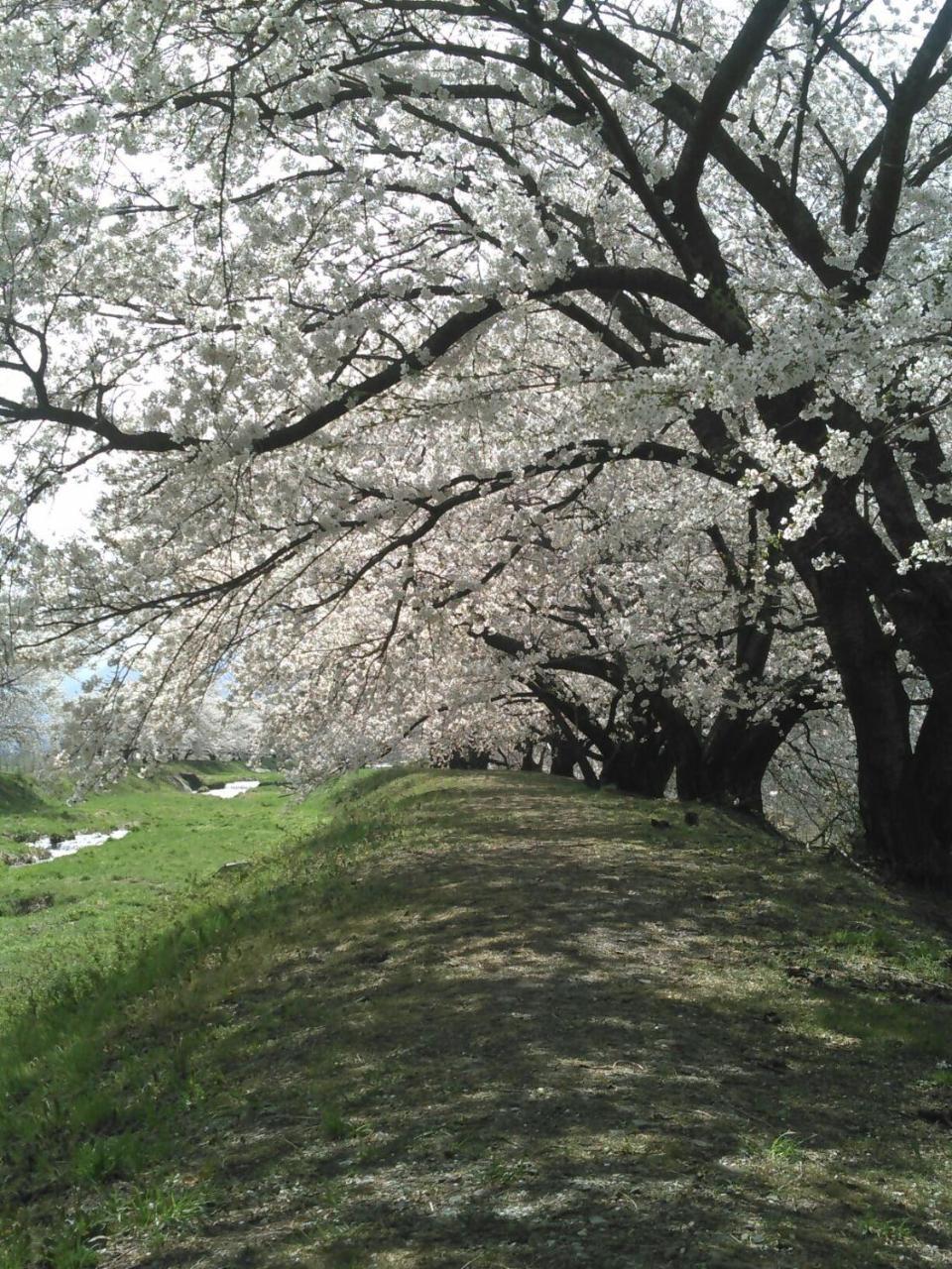 Отель Horn Azumino (Adults Only) Экстерьер фото